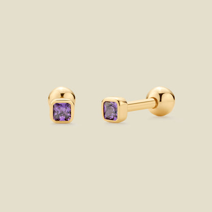 February Birthstone Stud Earrings