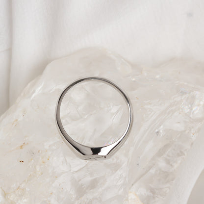 Custom Sterling Silver Zodiac Sign Ring