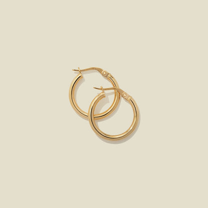 Hoop Earrings